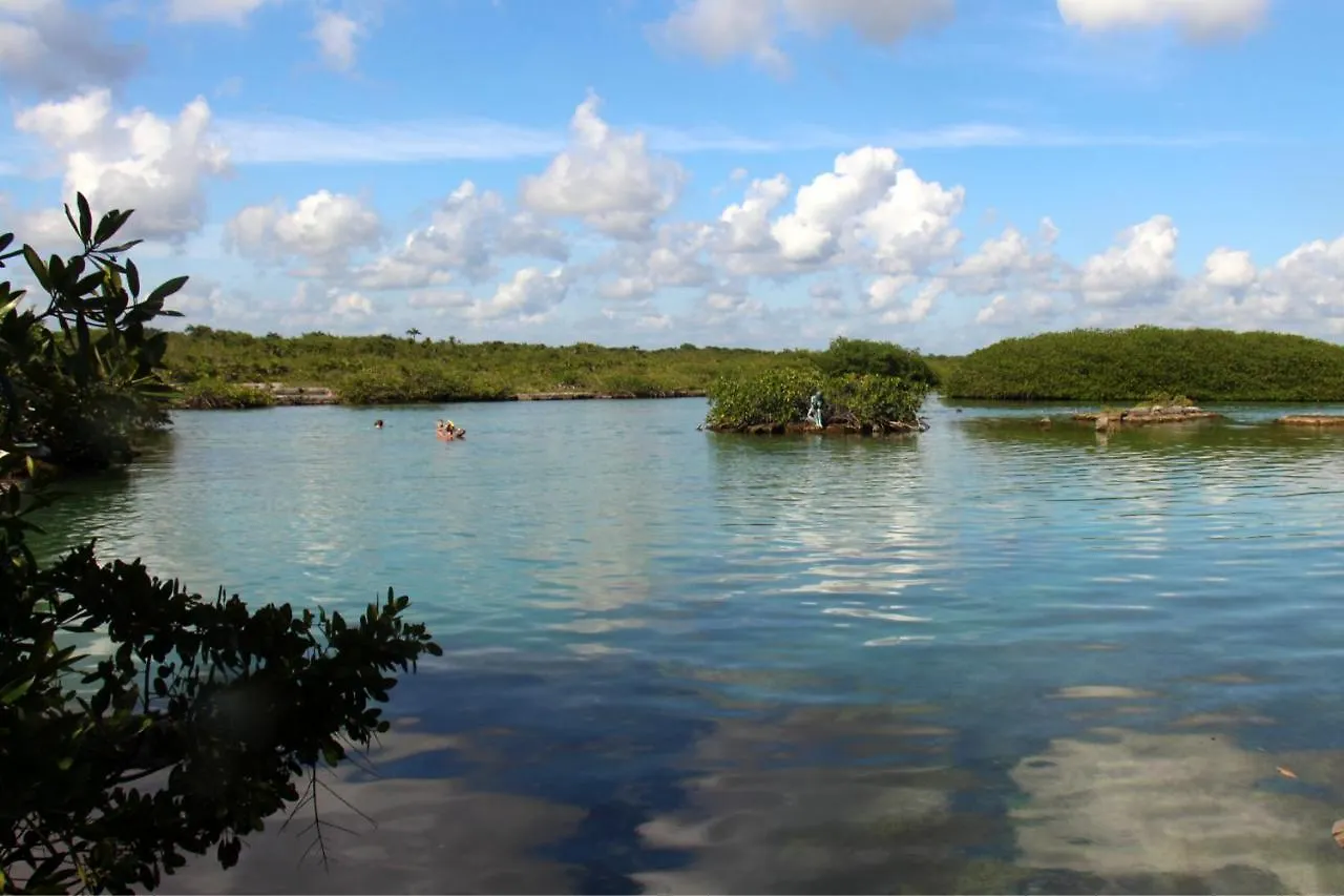 Апартаменты Beautiful & Cozy Studio In Akumal Paradise-Wifi, Ac