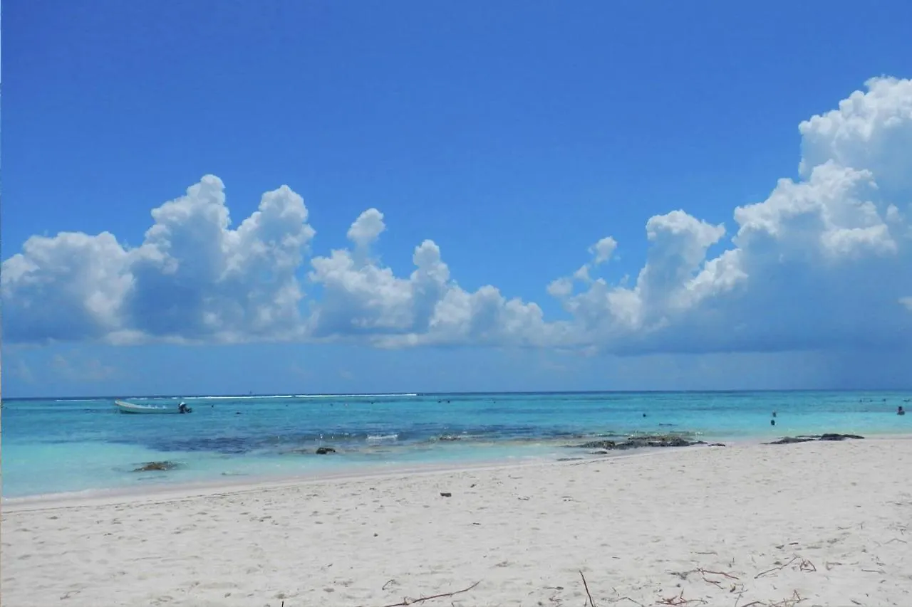 Beautiful & Cozy Studio In Akumal Paradise-Wifi, Ac 0*,  Мексика