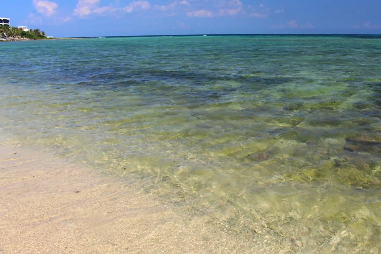 Beautiful & Cozy Studio In Akumal Paradise-Wifi, Ac 0*,