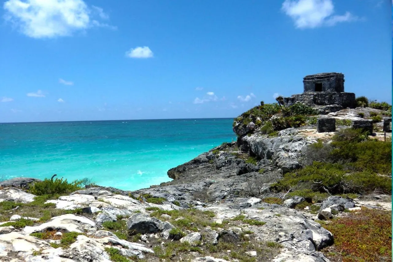 Beautiful & Cozy Studio In Akumal Paradise-Wifi, Ac Апартаменты